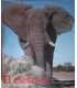 El Elefante en la naturaleza y en la historia de l