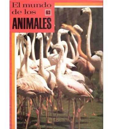 El Mundo de los Animales nºs: 63, 64, 65, 66, 67,