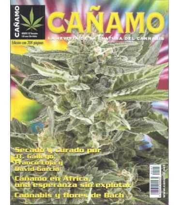 Cañamo, 167. Secado y curado. Cáñamo en África. Ca