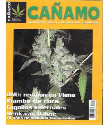 Cañamo, 124. Mambre de coco. Cogollos invernales.