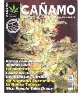 Cañamo, 143. Razas cannábicas: Malawi Gold. La abs