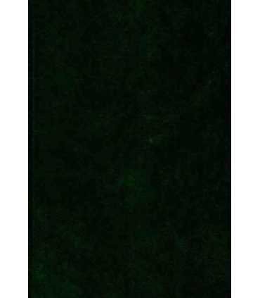 Los revolucionarios del siglo XX, 15: Dolores Ibar