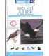 Ases del Aire: Aves rapaces