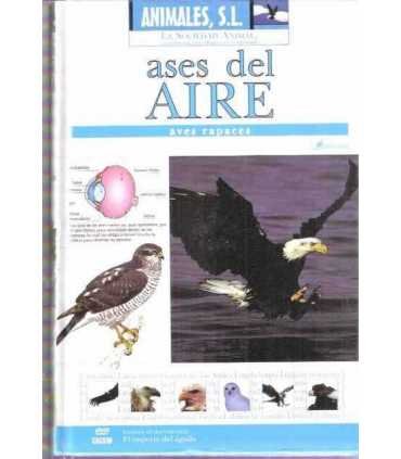 Ases del Aire: Aves rapaces