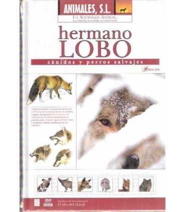 Hermano Lobo: Cánidos y perros salvajes