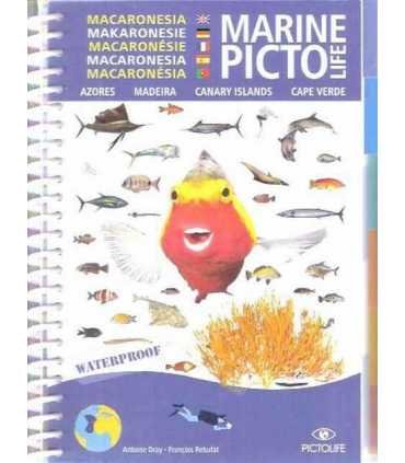 Marine Pictolife: Macaronesia