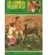 La familia Bobbsey y el safari misterioso