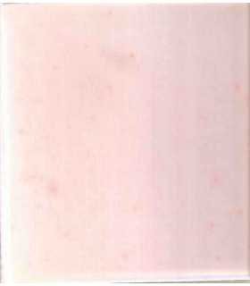 La Educación en Revolución