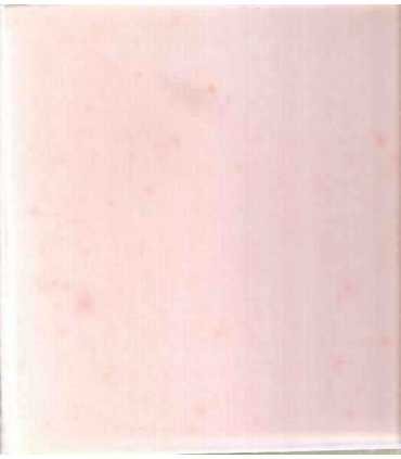 La Educación en Revolución