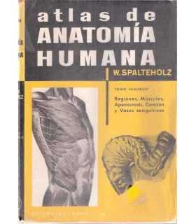 Atlas de Anatomía Humana. Tomo II Regionss, Múscul