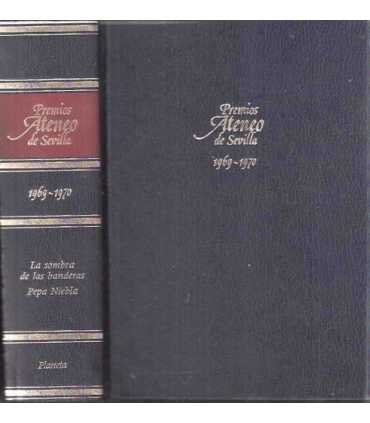 La sombra de las banderas. Pepa Niebla