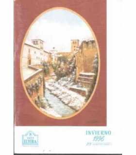 Calle Elvira. Pregón granadino. Invierno 1996.