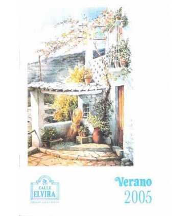 Calle Elvira. Pregón granadino. Verano 2005.