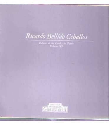 Ricardo Vellido Ceballos