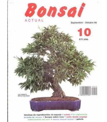 Bonsai Actual, 10.