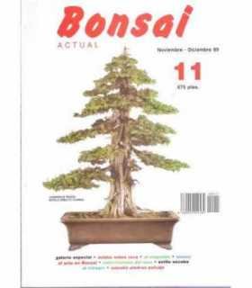 Bonsai Actual, 11.
