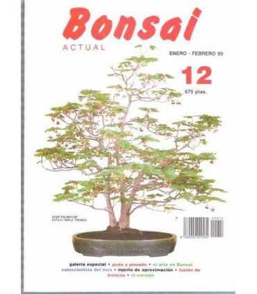 Bonsai Actual, 12.