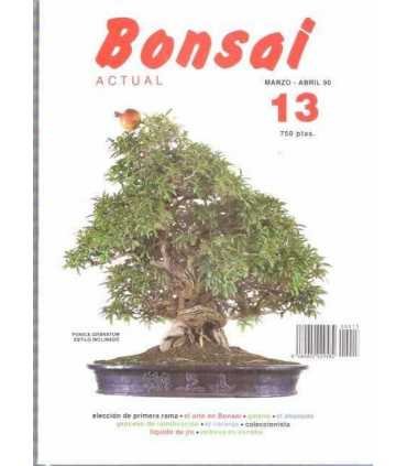 Bonsai Actual, 13.