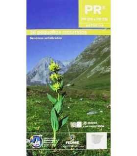 P R Asturias III. 36. Pequeños recorridos