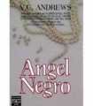 Ángel negro