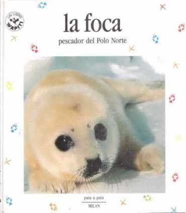 La foca, pescador del polo norte