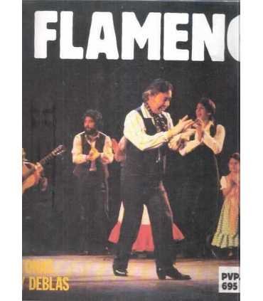 Flamenco 2, Tonás y Deblas