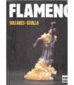 Flamenco 8, Soleares: Sevilla