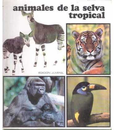 Animales de la Selva Tropical