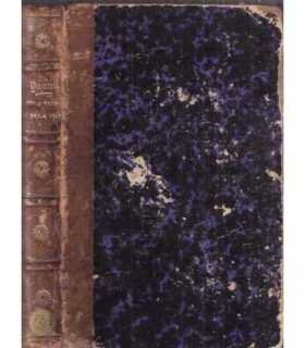 El gran error del S. XIX