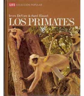 Los Primates
