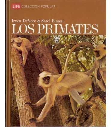 Los Primates