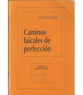 Caminos laicales de perfección
