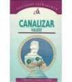 Canalizar Valery