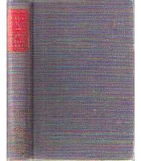 Nuevo Testamento. Versión directa del texto origin