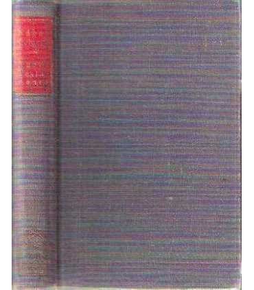 Nuevo Testamento. Versión directa del texto origin