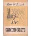 Camino recto