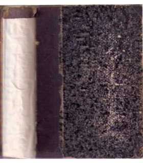 Microbiología y Suerología