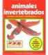 Animales invertebrados. Anatomía, caracteres, clas