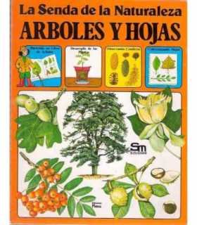 La senda de la naturaleza. Árboles y hojas