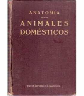 Anatomia de los animales domésticos