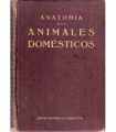 Anatomia de los animales domésticos