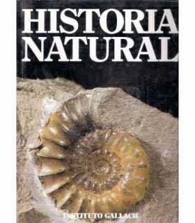 Historia Natural, 12: Paleontología