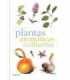 Plantas aromáticas y culinarias