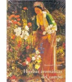 Hierbas aromáticas del campo