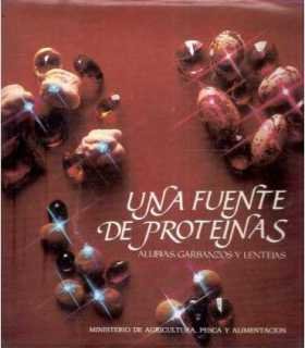 Una fuente de proteinas: alubias, garbanzos y lent