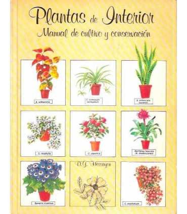 Plantas de Interior