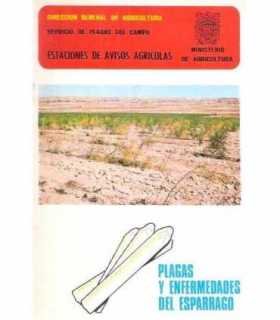 Plagas y enfermedades del espárrago