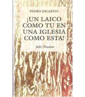 ¡Un laico como tú en una iglesia como esta!
