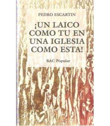 ¡Un laico como tú en una iglesia como esta!