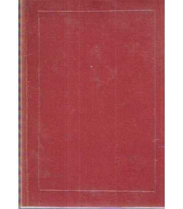 El Francés en 3 semanas